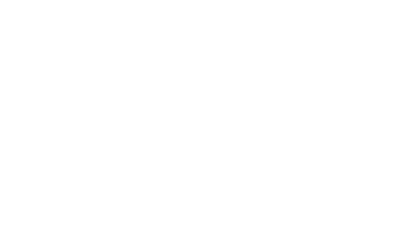 alfi Logo in weiss